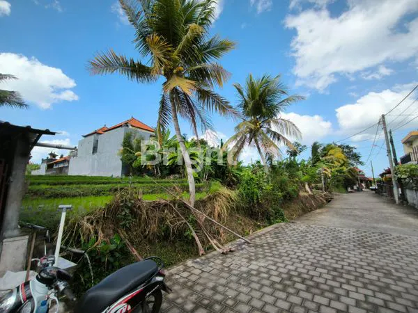 image TANAH PREMIUM DAN STRATEGIS DI KEDIRI TABANAN  (1)