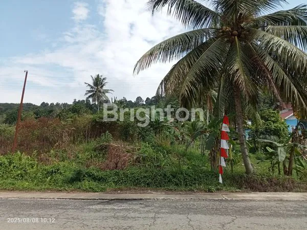 TANAH DATAR PINGGIR JALAN POROS