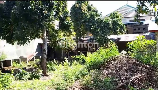 TANAH DIJUAL LOKASI STRATEGIS DI PUSAT KOTA SINGARAJA BULELENG