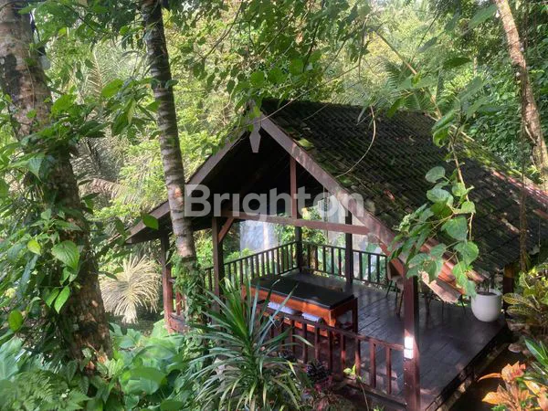 image RESORT MEWAH DI TEGALALANG UBUD – LOKASI INDAH DENGAN AIR TERJUN & FASILITAS LENGKAP (1)