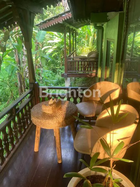 image RESORT MEWAH DI TEGALALANG UBUD – LOKASI INDAH DENGAN AIR TERJUN & FASILITAS LENGKAP (7)