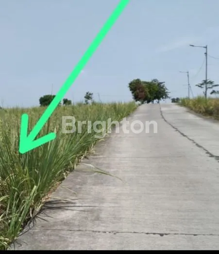 Gambar Property TANAH INDUSTRI PREMIUM 3500M² DI KAWASAN BERKEMBANG KEDAMEAN