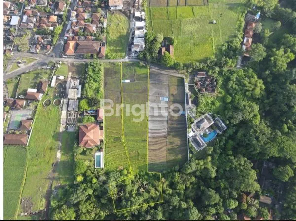 image LEASEHOLD LAND RIVERSIDE AND YELLOW ZONA IN BUWIT -BALI INDONESIA  (3)