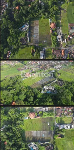 image LEASEHOLD LAND RIVERSIDE AND YELLOW ZONA IN BUWIT -BALI INDONESIA  (4)