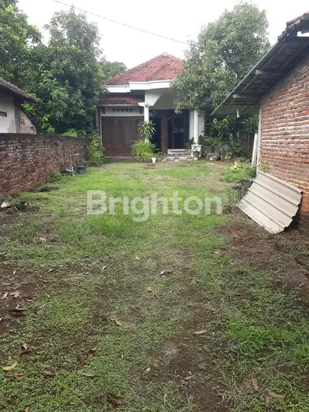 RUMAH + HALAMAN LUAS DI TEGOWANU KABUPATEN GROBOGAN