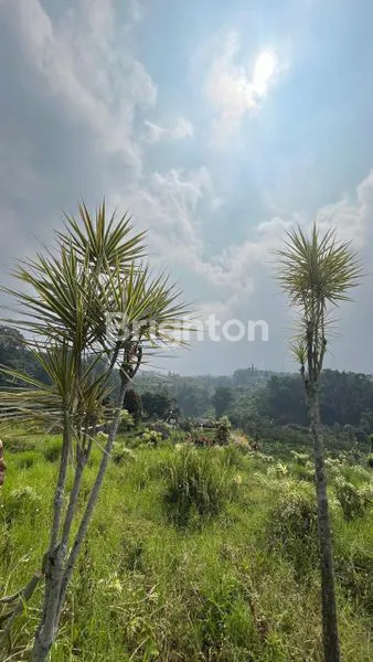 image TANAH LUAS DAN MURAH DAERAH PUNTEN BUMIAJI KOTA BATU (4)