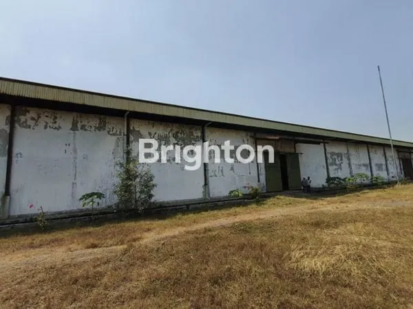 image GUDANG TROWULAN MOJOKERTO LANTAI SDH COR (3)