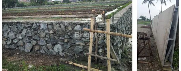 image TANAH COCOK UNTUK BANGUN CLUSTER  91 UNIT RAWAGEMPOL- BABUSSALAM JALAN RAYA KAMPUNG MELAYU , TELUK NAGA  DI TANGERANG (5)