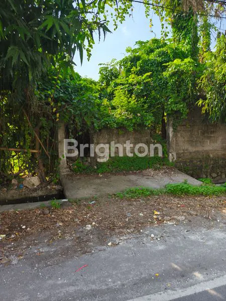 image TANAH PREMIUM DI JALAN RAYA TUKAD BADUNG (4)