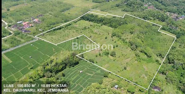 TANAH EKSKLUSIF DAERAH NEGARE-- JEMBRANA