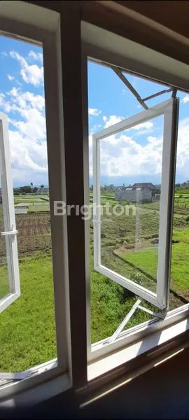 image RUKO 2 LT PINGGIR JALAN STRATEGIS SEBELAH INDOMARET (7)