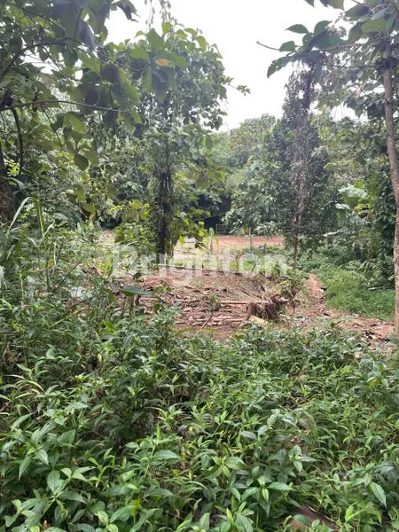 image DI JUAL TANAH KEBUN DI KEDUNG WARINGIN, STASIUN BOJONG GEDE HANYA SEKITAR 1-1,5 KM, BANYAK RUTE ANGKOT/BUS, AKSES KE JALAN TOL DEPOK-ANTASARI (3)