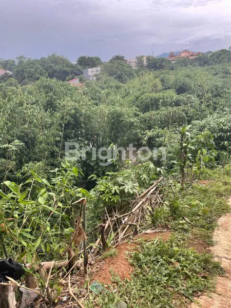 image DI JUAL TANAH KEBUN DI KEDUNG WARINGIN, STASIUN BOJONG GEDE HANYA SEKITAR 1-1,5 KM, BANYAK RUTE ANGKOT/BUS, AKSES KE JALAN TOL DEPOK-ANTASARI (5)
