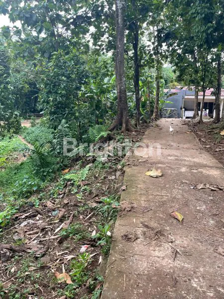 image DI JUAL TANAH KEBUN DI KEDUNG WARINGIN, STASIUN BOJONG GEDE HANYA SEKITAR 1-1,5 KM, BANYAK RUTE ANGKOT/BUS, AKSES KE JALAN TOL DEPOK-ANTASARI (7)