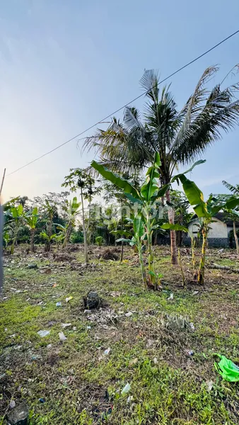 image TANAH PEKARANGAN LUAS & STRATEGIS DIJUAL – GARUM, BLITAR  (2)