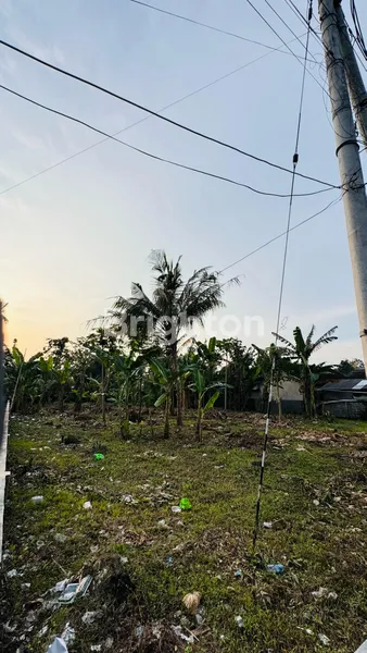 image TANAH PEKARANGAN LUAS & STRATEGIS DIJUAL – GARUM, BLITAR  (4)