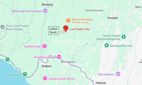 image TANAH 55 ARE UNTUK VILLA DI KEMETUG, KAWASAN WISATA ALAM GUNUNG SALAK, TABANAN (7)