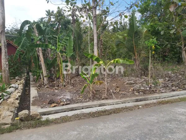 image TANAH DEKAT BANDARA YIA (3)