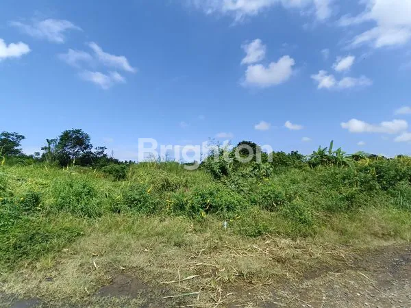 image INVESTASI TANAH PREMIUM MINIMAL AMBIL 1 HEKTAR, DI BLAHBATU GIANYAR, TERSEDIA 21 HA. (7)