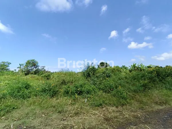 image INVESTASI TANAH PREMIUM MINIMAL AMBIL 1 HEKTAR, DI BLAHBATU GIANYAR, TERSEDIA 21 HA. (4)