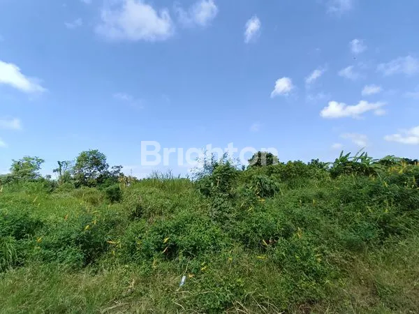 image INVESTASI TANAH PREMIUM MINIMAL AMBIL 1 HEKTAR, DI BLAHBATU GIANYAR, TERSEDIA 21 HA. (5)