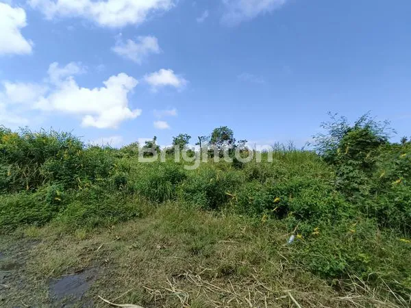 image INVESTASI TANAH PREMIUM MINIMAL AMBIL 1 HEKTAR, DI BLAHBATU GIANYAR, TERSEDIA 21 HA. (3)