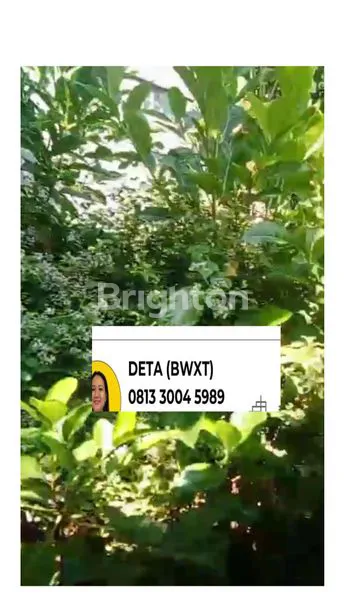 Gambar Property KEDUNGCOWEK SURABAYA UTARA