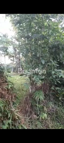 TANAH, KECAMATAN SELEMADEG BARAT