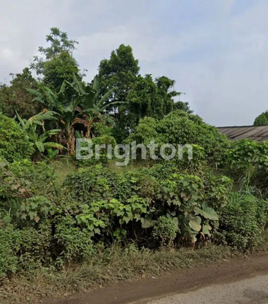 image LAHAN KOMERSIAL PREMIUM 1500M² PINGGIR JALAN RAYA RUMPIN - BSD (3)