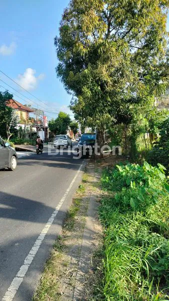 image TANAH PREMIUM 11 ARE DI JALUR WISATA UBUD, LOKASI STRATEGIS (3)