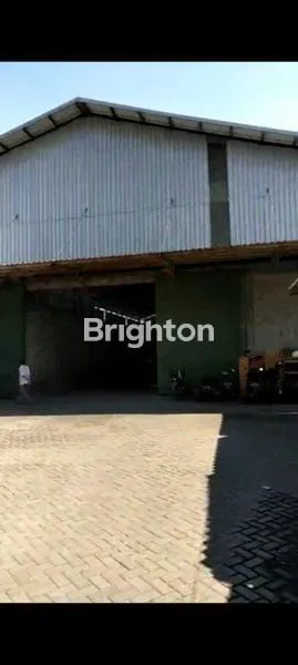 GUDANG RAYA BANGIL, PANDAAN