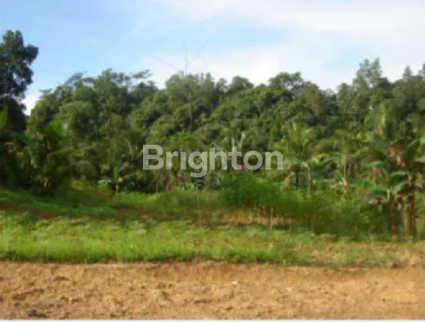 image DIJUAL TANAH UK 4961 SHM DAERAH PALARAN SAMARINDA (2)