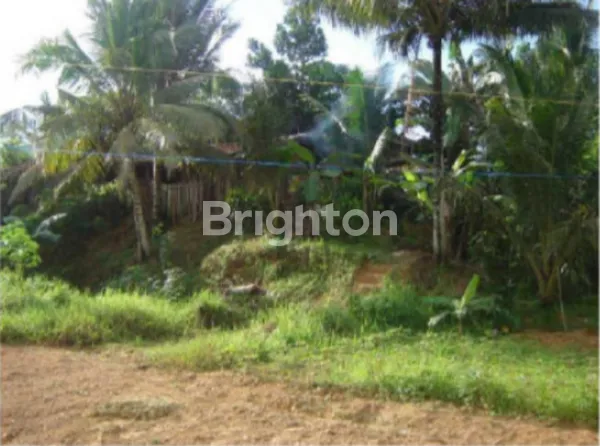 image DIJUAL TANAH UK 1782 DAERAH PALARAN SAMARINDA (1)