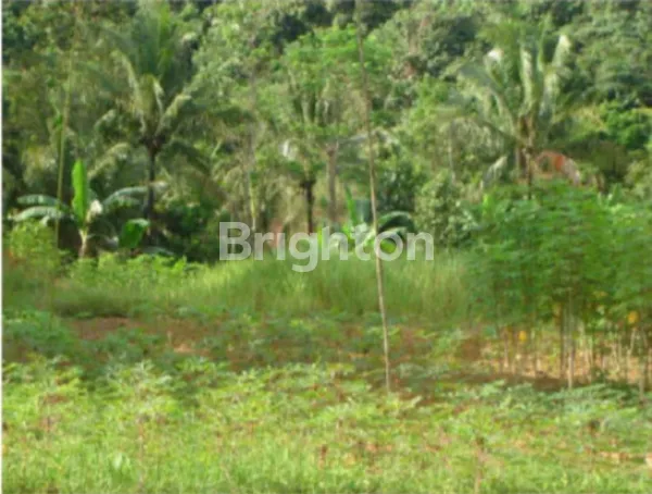 image DIJUAL TANAH UK 1782 DAERAH PALARAN SAMARINDA (2)