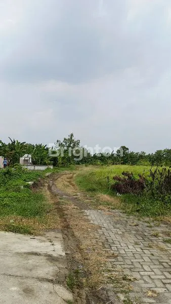image TANAH KOSONG UNTUK INVESTASI, LOKASI STRATEGIS DEKAT JALAN WOLTER DI SEMARANG UTARA (1)