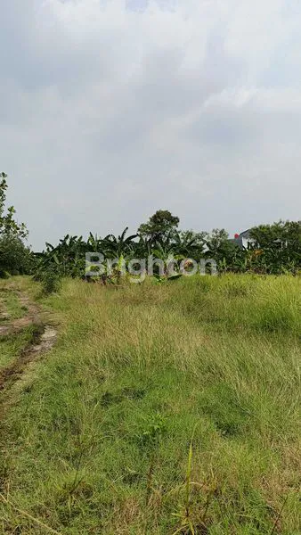 image TANAH KOSONG UNTUK INVESTASI, LOKASI STRATEGIS DEKAT JALAN WOLTER DI SEMARANG UTARA (2)