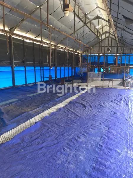 image EX KANDANG AYAM BREEDING JEDONG, WAGIR - MALANG (2)