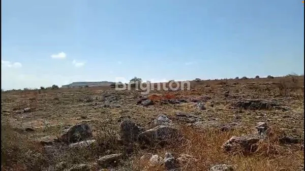 image TANAH PREMIUM 15 HA VIEW PANTAI PURUKAMBERA - SUMBA TIMUR (5)