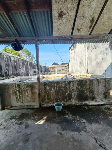 image RUMAH WALET 3 TINGKAT KELAPA DUA 1793M2 SINGKAWANG BARAT KALIMANTAN KLP DUA SHM NEGO (5)