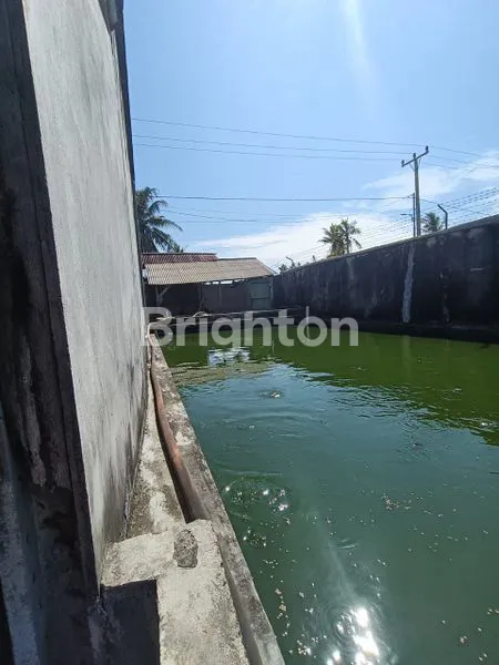 image RUMAH WALET 3 TINGKAT KELAPA DUA 1793M2 SINGKAWANG BARAT KALIMANTAN KLP DUA SHM NEGO (6)