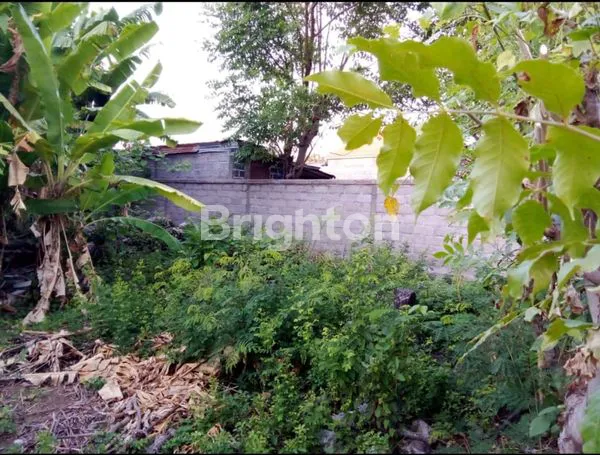 image TANAH STRATEGIS DALAM KOTA SERIRIT - KONTRAK TAHUNAN,LOKASI PREMIUM DEKAT FASILITAS UMUM (7)