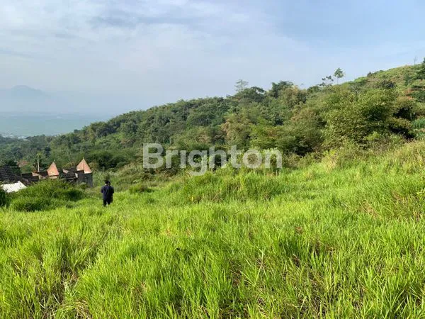 TANAH 6,5 HEKTAR MURAH