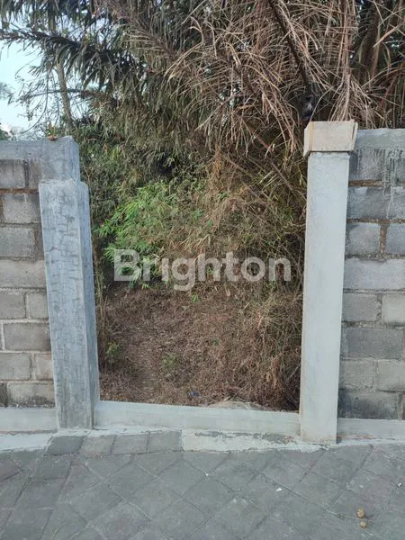 image TANAH DI SIDORAHAYU WAGIR MALANG  (1)