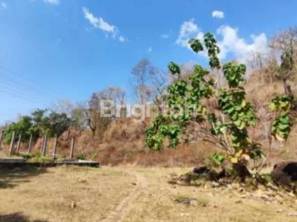TANAH LUAS STRATEGIS DEKAT PANTAI DAN PUSAT WISATA