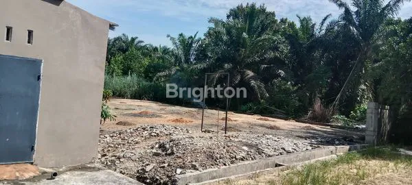 image RUKO STRATEGIS 2 PINTU 2 LANTAI PLUS LAHAN LUAS 700M2 DI JL. SRIKANDI TAMPAN (5)