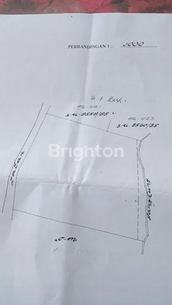 image TANAH KECAMATAN SELEMADEG TIMUR (5)