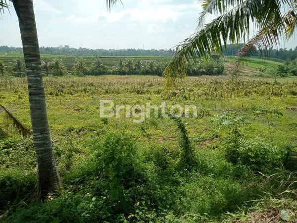 image TANAH KECAMATAN SELEMADEG TIMUR (3)