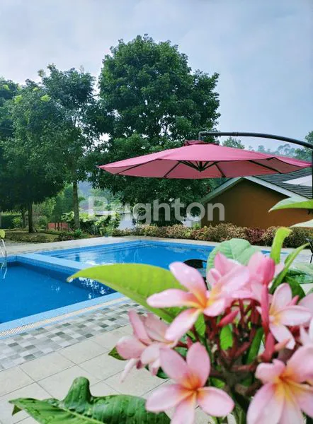 image VILLA DI MEGAMENDUNG (8)