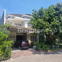 Polish 20250814 130349730