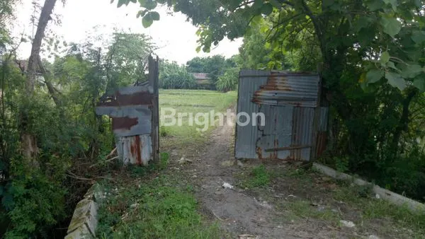 image TANAH SHM DI CERME GRESIK JAWA TIMUR  (1)